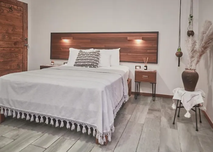 Boutique Terranova Hotel