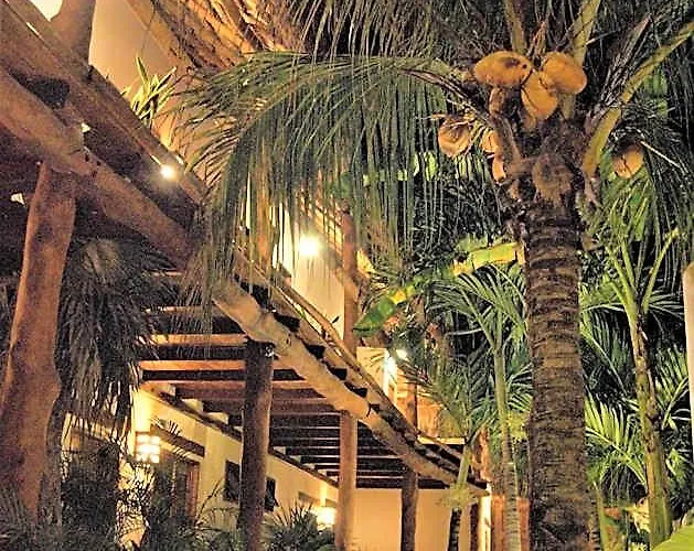 Boutique Terranova Hotel 3*