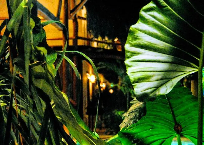 Hotel Boutique Terranova Tulum