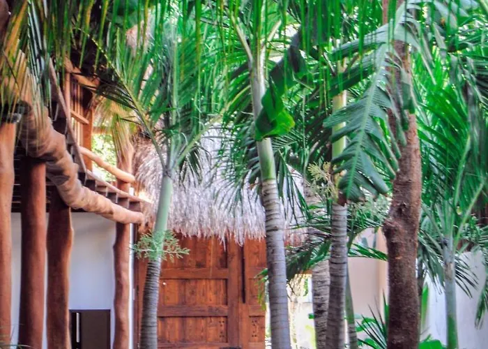 Boutique Terranova Hotel 3*