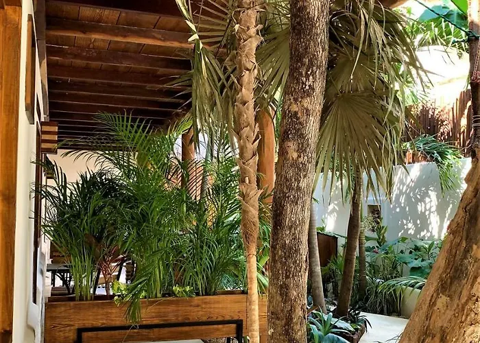 Boutique Terranova Hotel 3*